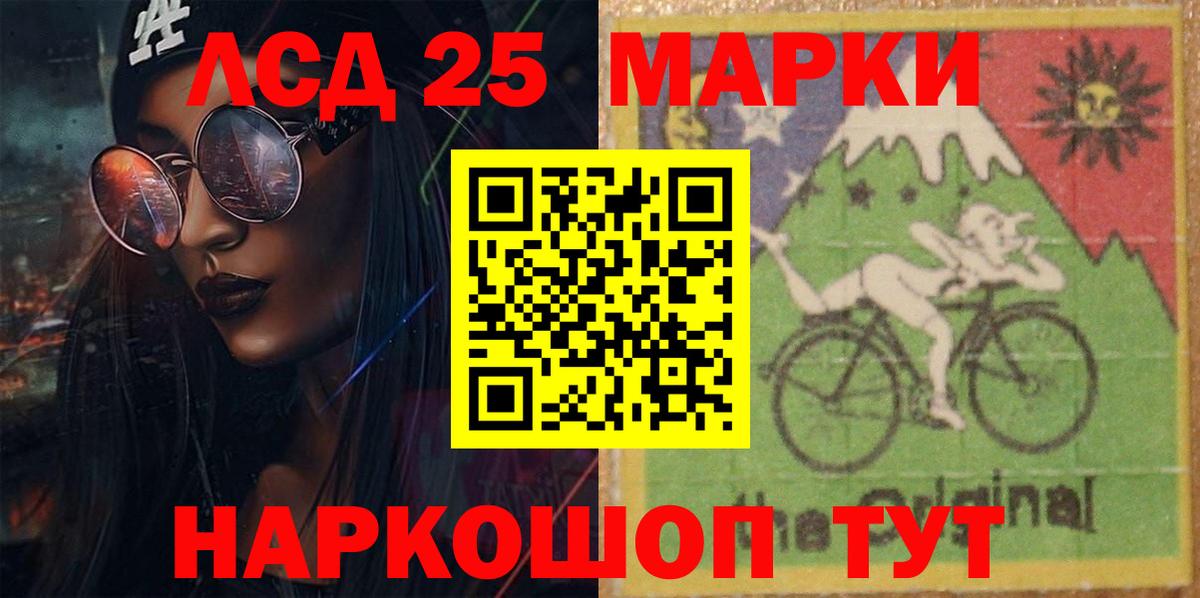МЕФ Дубна