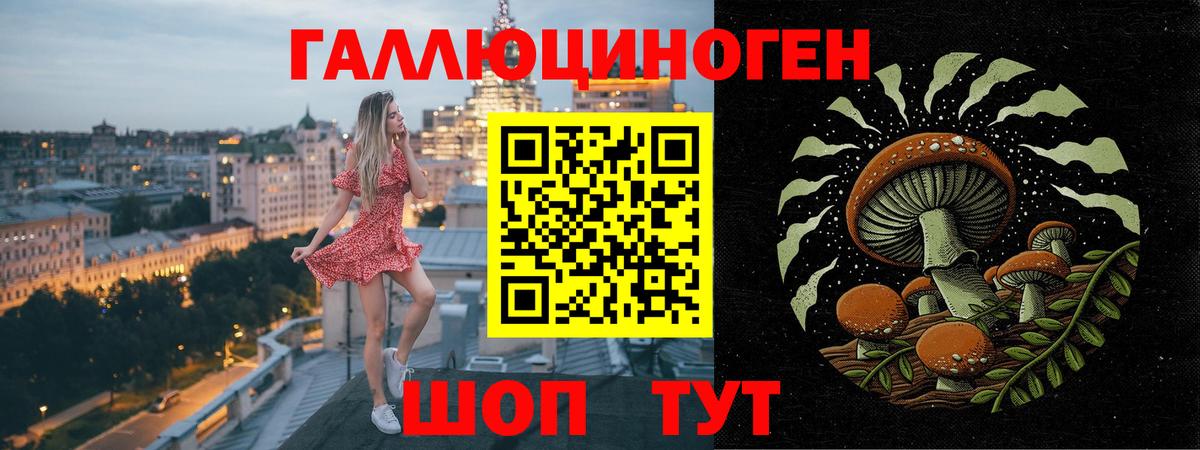 Псилоцибиновые грибы Cubensis Дубна