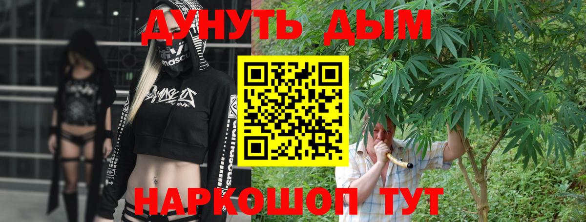 Каннабис сатива  Марихуана планчик  Вход с VPN  Дубна 